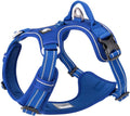Dog Harness No Pull Nylon Reflective Pet Harness Adjustable Comfortable Control Step-In Brilliant Colors Truelove TLH56512 XS Royal Blue