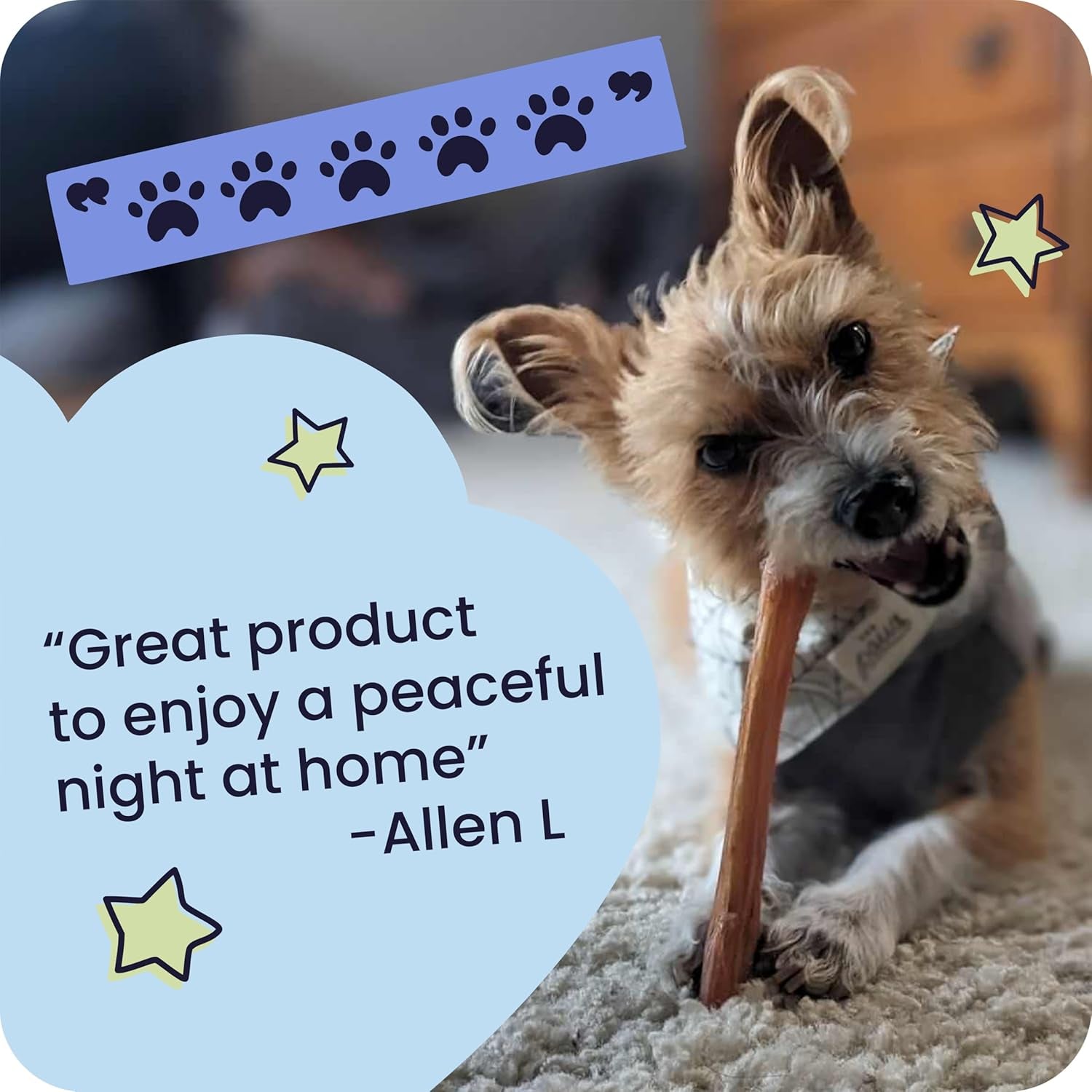 100% Natural 12-In Bully Sticks for Dogs - Tough Long-Lasting Rawhide-Free Single Ingredient Beef Pizzle Chew Treats for Medium & Large Dogs, Aggressive Chewers - 5 Count Pack