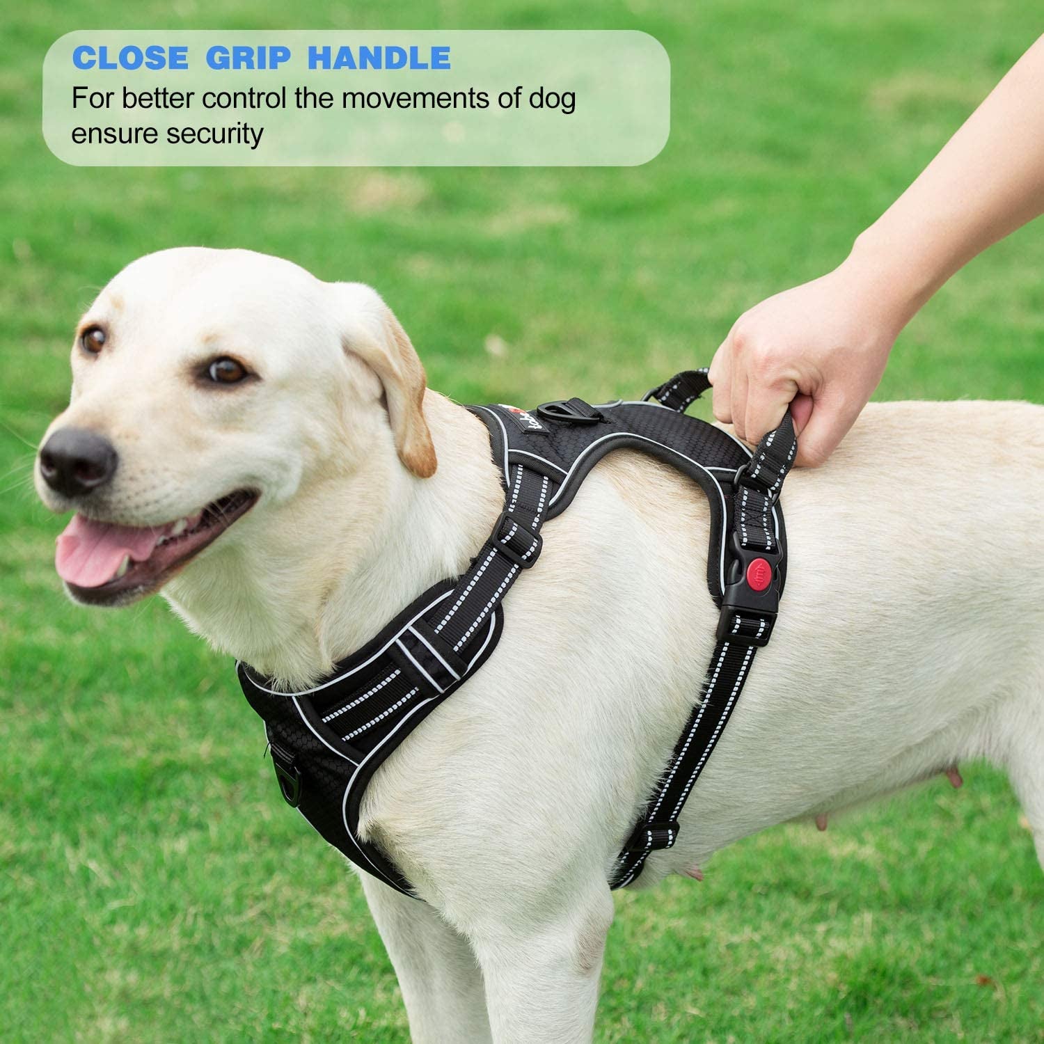 No Pull Dog Harness Adjustable Reflective Oxford Easy Control Medium Large Dog Harness with a Free Heavy Duty 5Ft Dog Leash