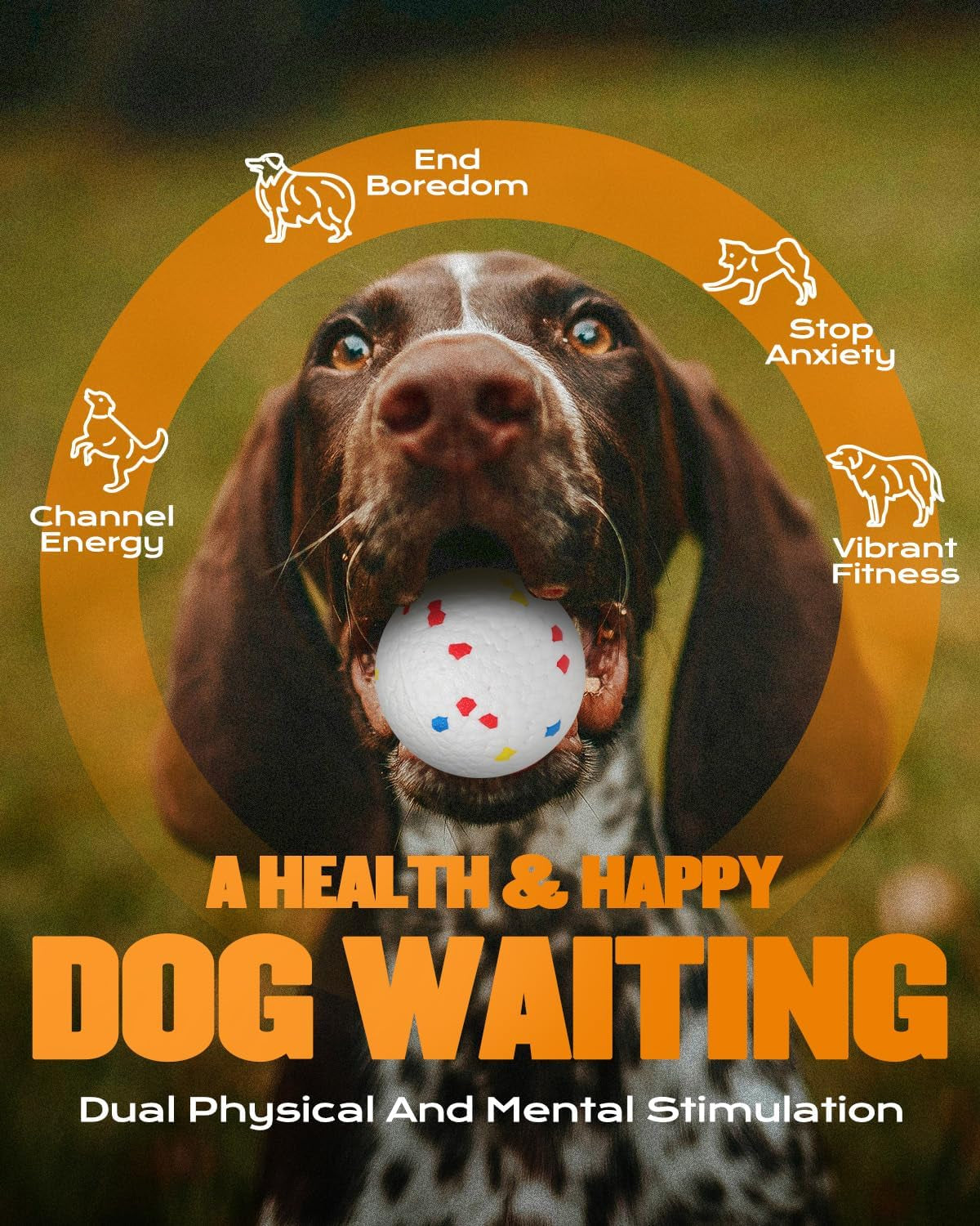 Automatic Ball Launcher for Dogs with 6 Balls, Dog Ball Thrower Launcher (Orange)