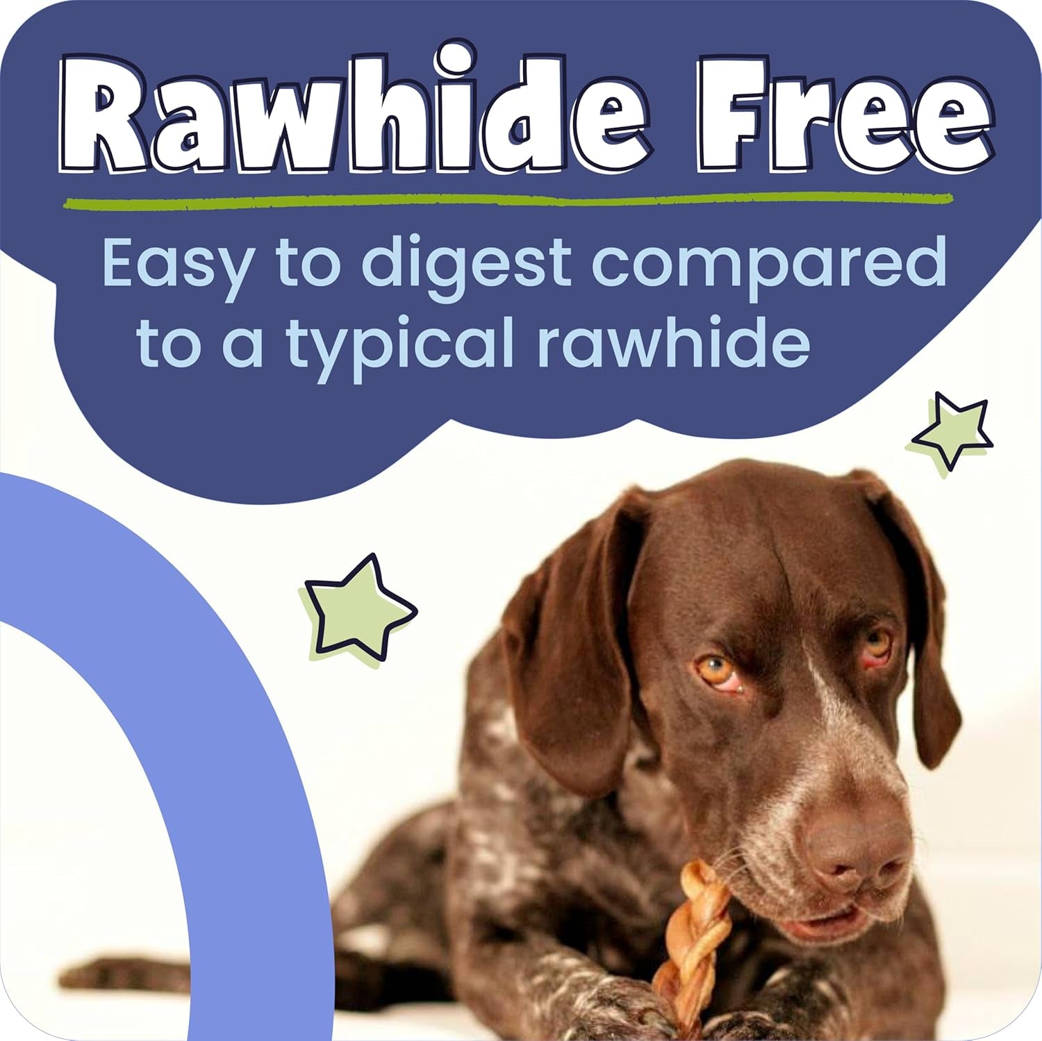 100% Natural 12-In Bully Sticks for Dogs - Tough Long-Lasting Rawhide-Free Single Ingredient Beef Pizzle Chew Treats for Medium & Large Dogs, Aggressive Chewers - 5 Count Pack