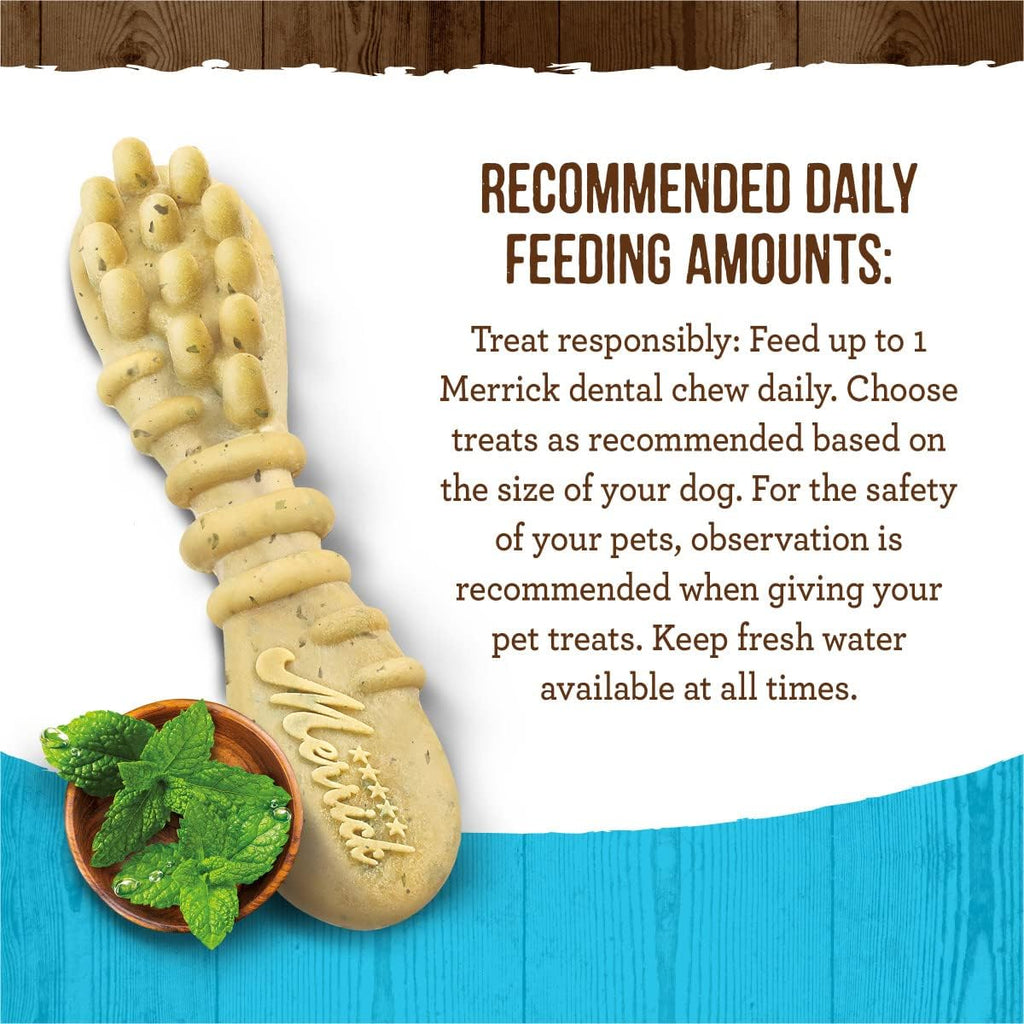 Fresh Kisses Natural Dental Chews, Toothbrush Shape Treat Infused with Real Mint, for Large Dogs - 22 Ct. Box
