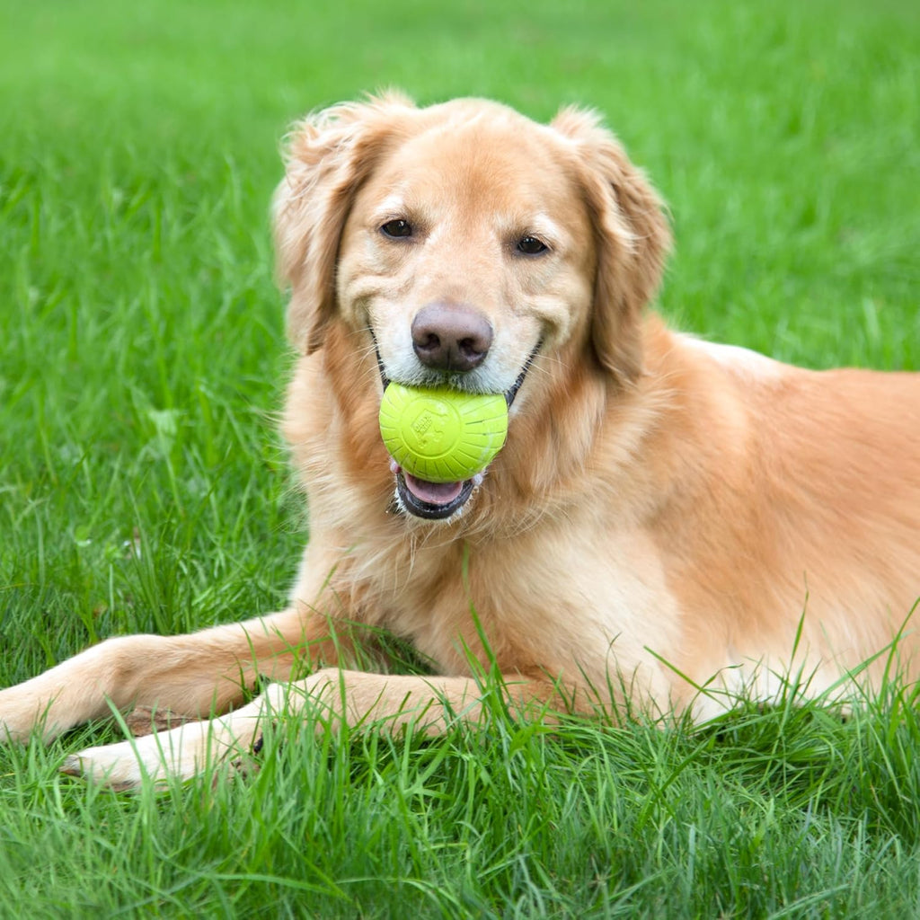 by Mammoth Supreme Rubber Dog Fetch Balls (8-Pack), Durable 3” Natural Rubber Balls with Safety Air Vent, High Bounce Fetch Toys for Aggressive Chewers, Launcher Compatible - Yellow