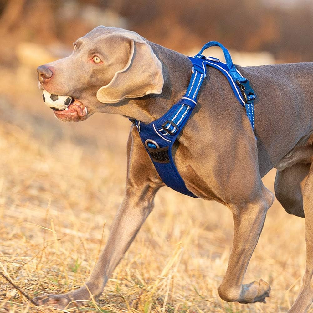 Dog Harness No Pull Nylon Reflective Pet Harness Adjustable Comfortable Control Step-In Brilliant Colors Truelove TLH56512 XS Royal Blue