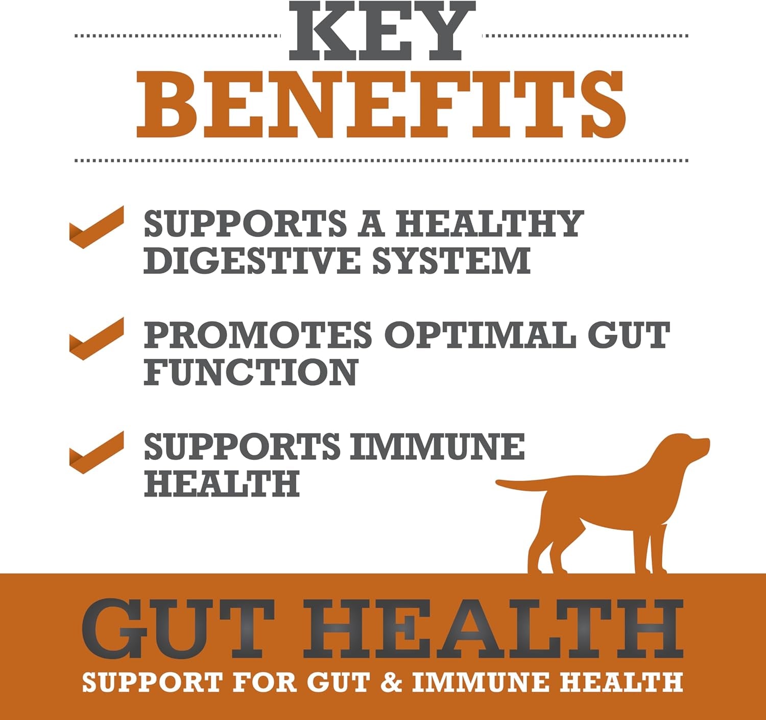 Dog Gut Health Supplement – Plasma-Powered Soft Chews for Dog Immune Health Support & Gut Health, Made with Natural Ingredients for Dogs of All Breeds & Sizes - 60 Count