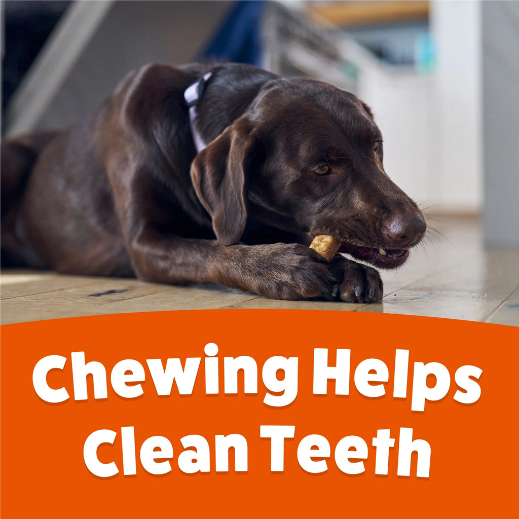 Purina  , Long Lasting Small/Medium Breed Adult Dog Chews, Peanut Butter Flavor, 21 Oz. Pouch