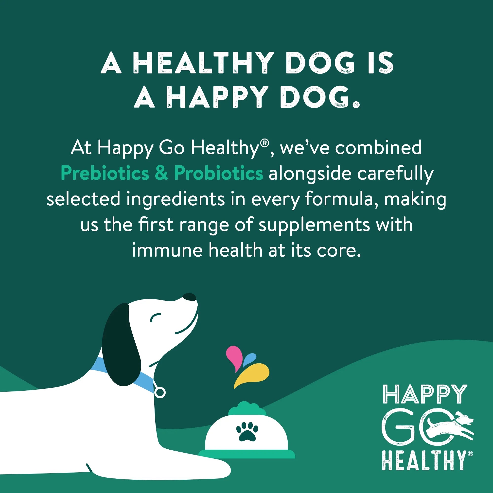 Probiotics for Dogs |  Prebiotic & Probiotic Dog Supplement with Ginger Root, Icelandic Seaweed, and Organic Kelp | All Breeds and Sizes | 60 Count