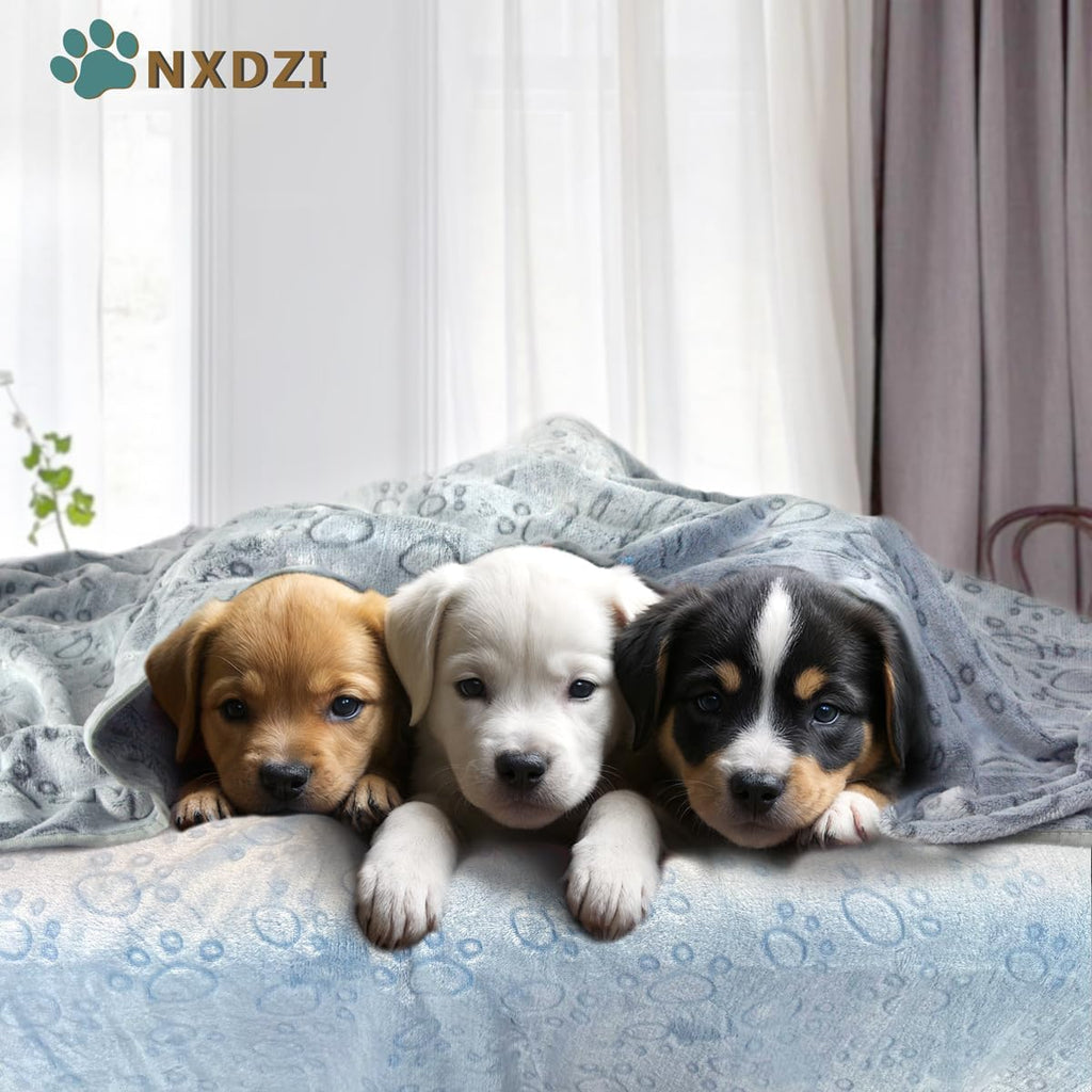 Dog Blankets for Dogs, 3 Pack Dog Blanket Washable 23" X 16", Fuzzy Soft Pet Mat Throw Cover for Kennel Crate Bed, Cute Paw Pattern, Cat Blanket, Blankets for Dogs, Pet Blanket