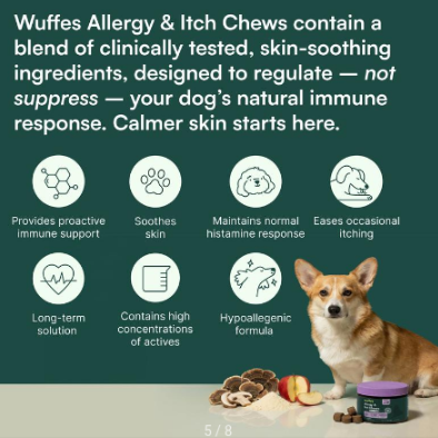 Wuffes Allergy & Itch Chews for Dogs - Skin & Immune Support Supplement for Seasonal Allergies & ...