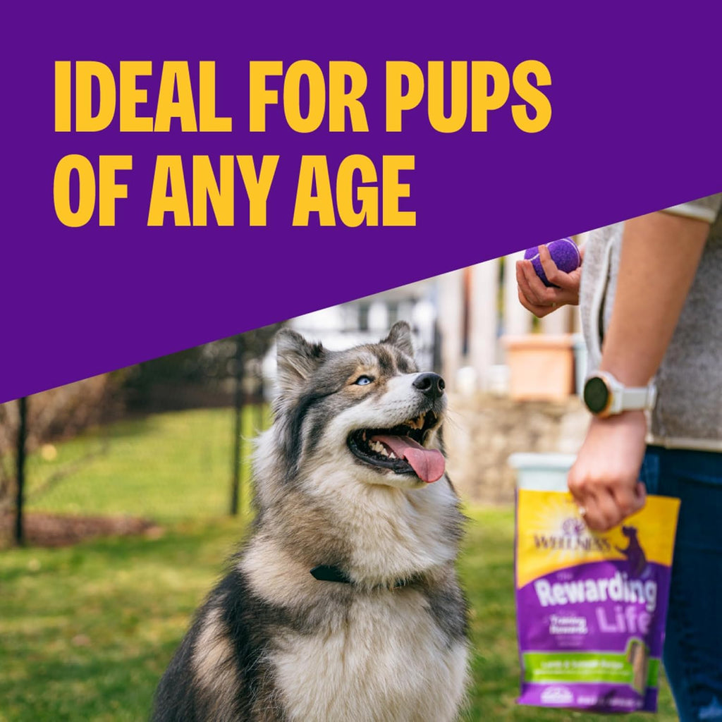 Rewarding Life Soft Dog Training Treats, Natural, Grain Free, Chicken and Lamb Recipe, 6 Oz Bag