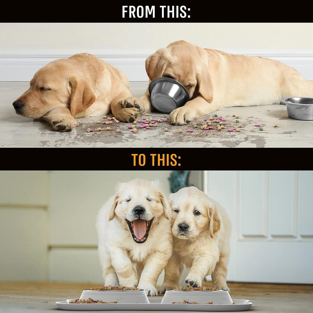 Dog Bowl Set, Stainless Steel No Spill Mess-Proof Food & Water Food Bowls with Skid Resistant Silicone Mat, Dog Bowls Small Size Dog, Medium, & Large, Pet Puppy Bowls & Dog Dishes
