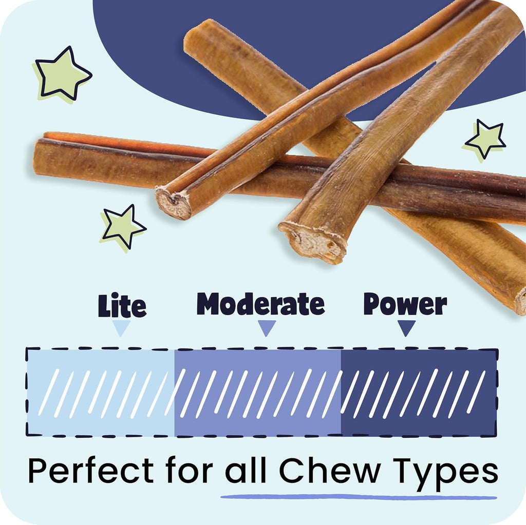 100% Natural 12-In Bully Sticks for Dogs - Tough Long-Lasting Rawhide-Free Single Ingredient Beef Pizzle Chew Treats for Medium & Large Dogs, Aggressive Chewers - 5 Count Pack