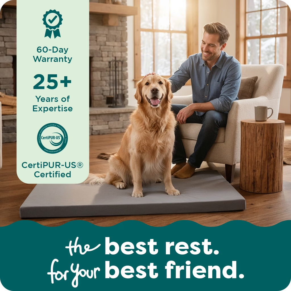 (2 Pack)  Pet Products Restful Dreamer Medium/Large Orthopedic Foam Deluxe Crate Mat, Gray