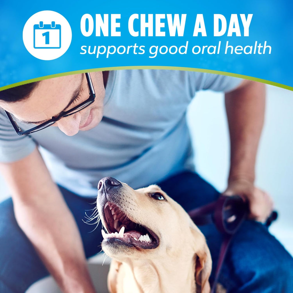 Activfresh Pack of 2 Dog Chews for Large Dogs 40 Lbs. and Up, Dental Chews to Freshen Breath, Chicken Flavor, 35 Oz. Each, 30 Chews Each/60 Total Chews - 30 Ct. Pouch