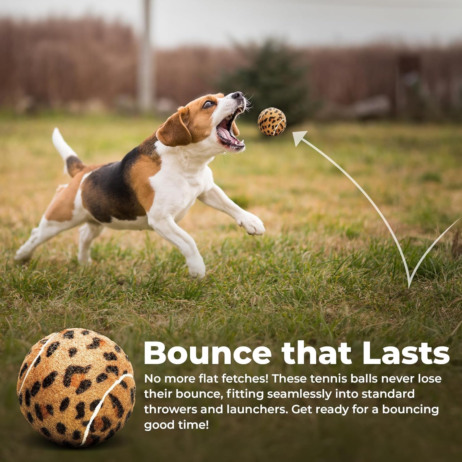 Unique Sports Dog Fetch Squeaker Balls Animal Prints 4 Pack