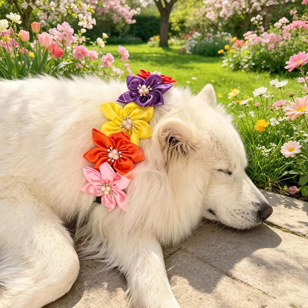 8 PCS Flower Rhinestone Dog Collar, Adjustable Bling Sparkling Jewelry Pet Necklace for Small Medium Dogs Cats, Comfortable Fashion Grooming Accessories for Wedding Party