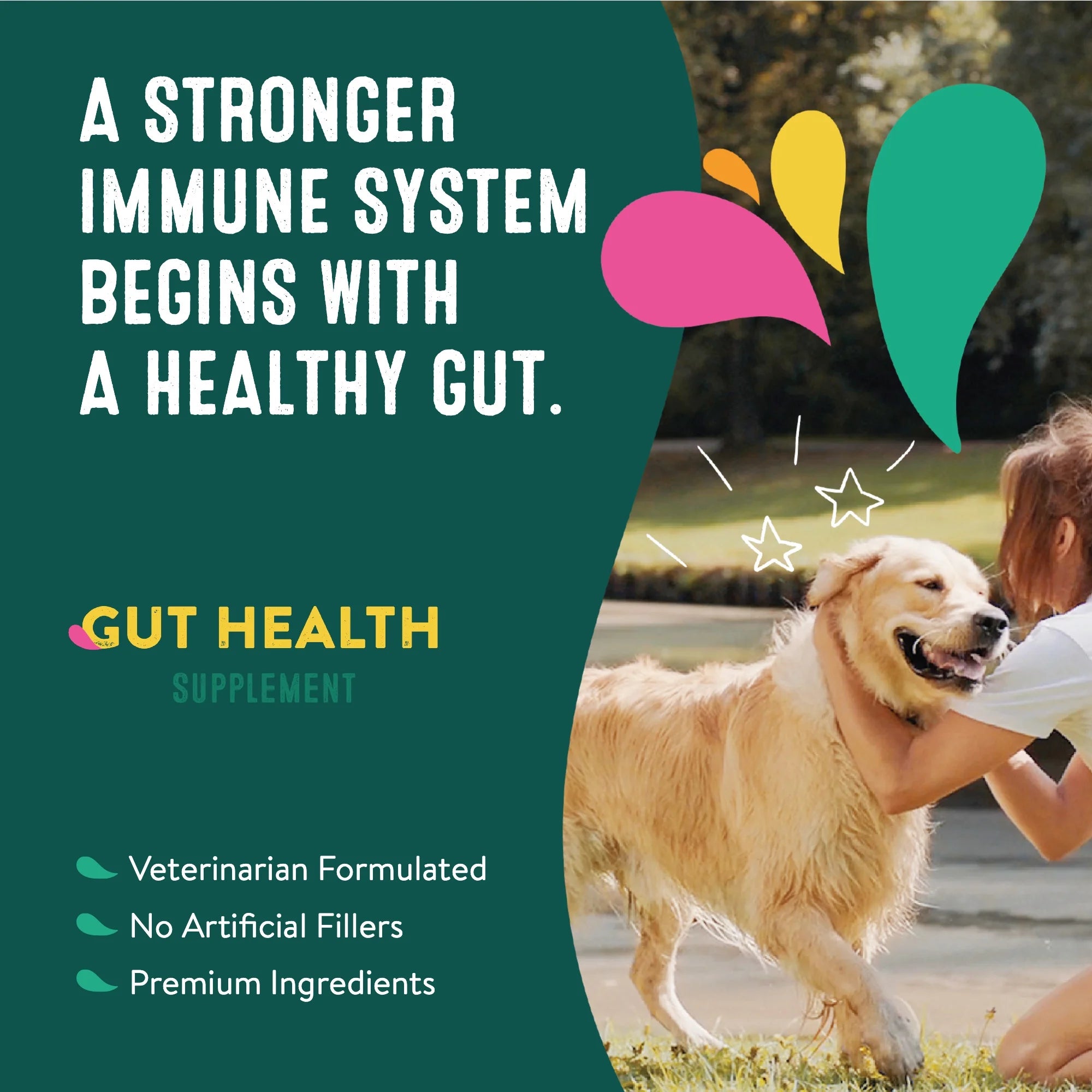 Probiotics for Dogs |  Prebiotic & Probiotic Dog Supplement with Ginger Root, Icelandic Seaweed, and Organic Kelp | All Breeds and Sizes | 60 Count